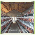 2015 chicken cages for laying hens